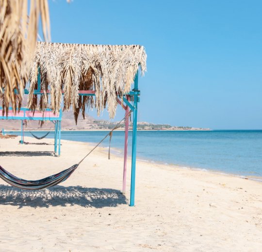 Туры в Нувейбу 2025 - цены на путевки в Египет из Москвы от туроператора «Пегас Туристик»