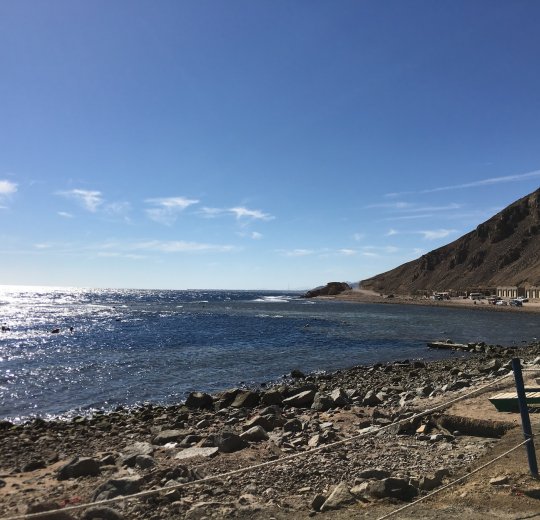 Туры в Нувейбу 2025 - цены на путевки в Египет из Москвы от туроператора «Пегас Туристик»