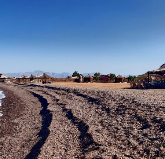 Туры в Нувейбу 2025 - цены на путевки в Египет из Москвы от туроператора «Пегас Туристик»