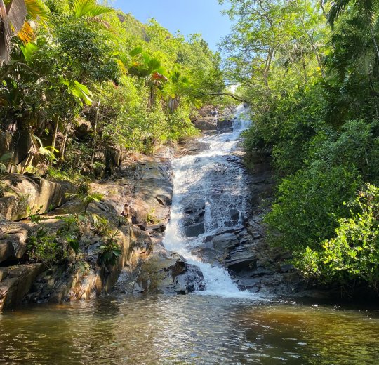Туры в Порт-Саид 2025 - цены на путевки в Египет из Москвы от туроператора «Пегас Туристик»