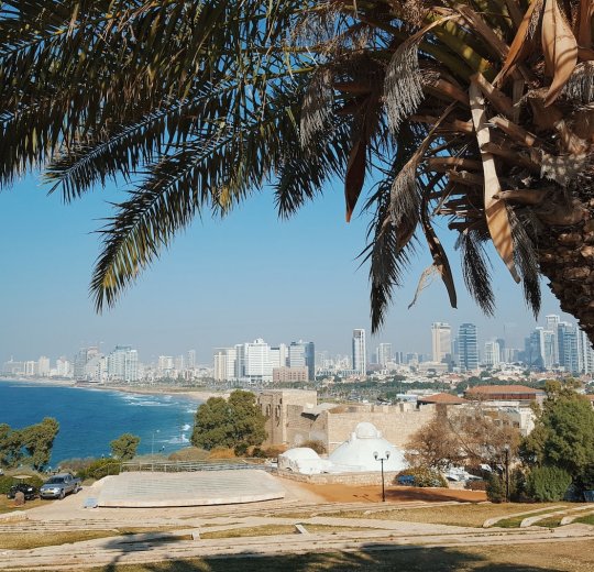 Туры в Ашкелон 2025 - цены на путевки в Израиль из Москвы от туроператора «Пегас Туристик» Туры в Ашкелон 2025 - цены на путевки в Израиль из Москвы от туроператора «Пегас Туристик»